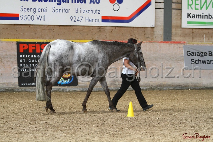 24-ApHC HIH_029.jpg
